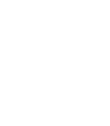 Logo MDG